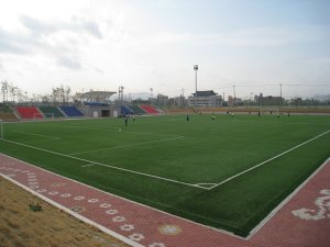 Gyeongju Sports Complex artificial