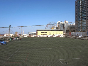 Rafic El-Hariri Stadium