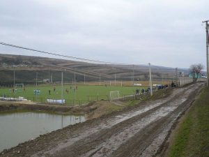 Stadionul Sătesc Teren artificial